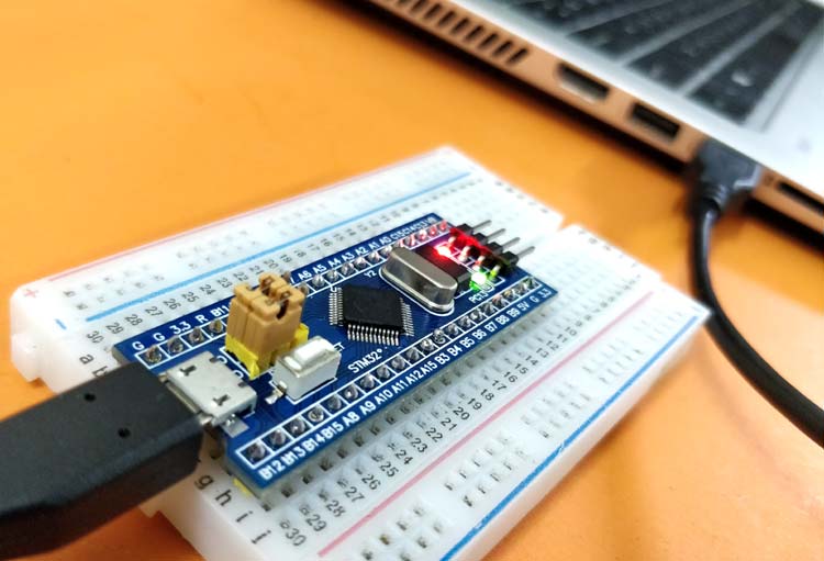 Understanding the Rote Processor